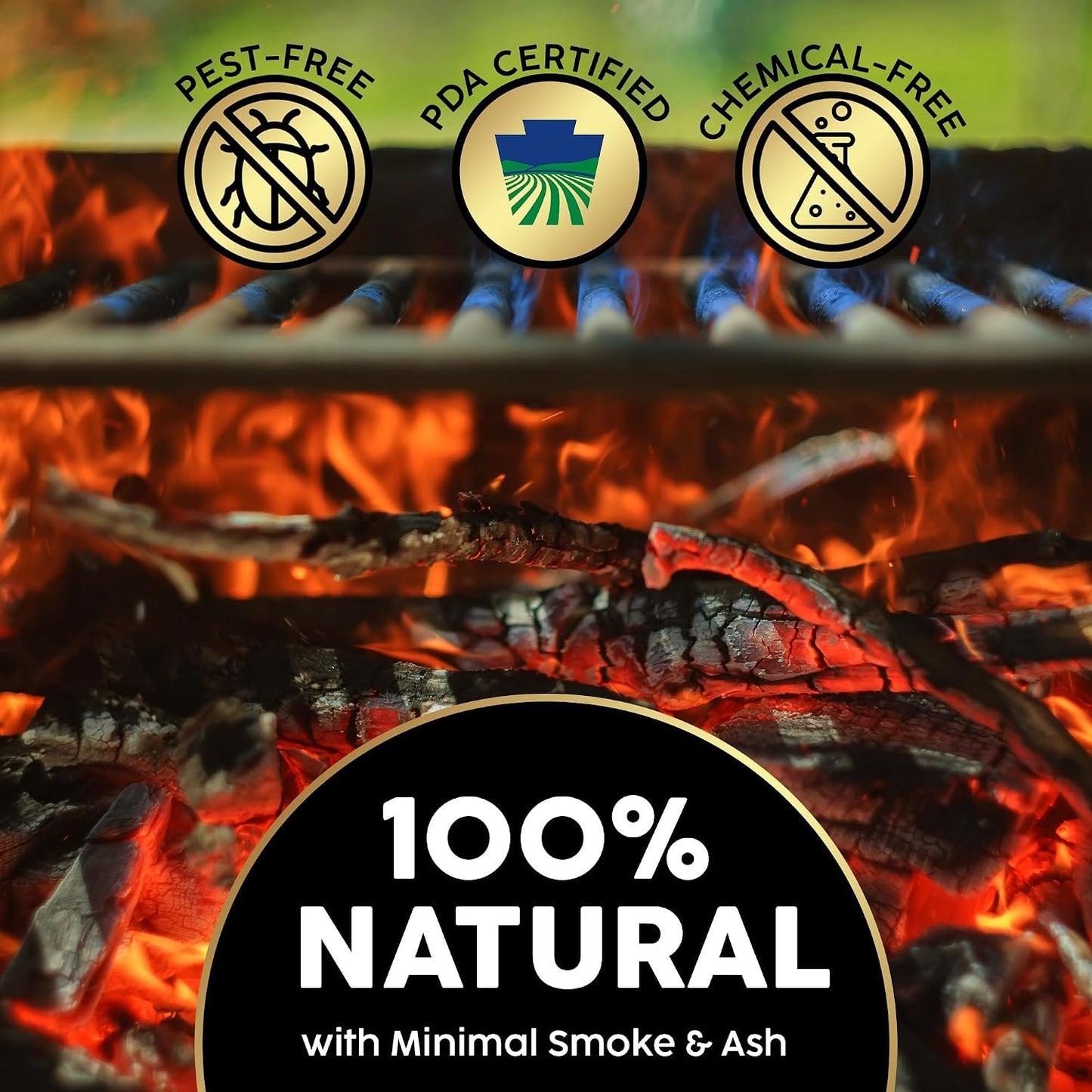 Kiln-Dried PA Hickory – 8” Splits (Approx 39.5 Lb) – Bold Smoking Wood for Pizza Ovens, BBQ & Fire Pits – Easy Light, Low Smoke, USA Sourced