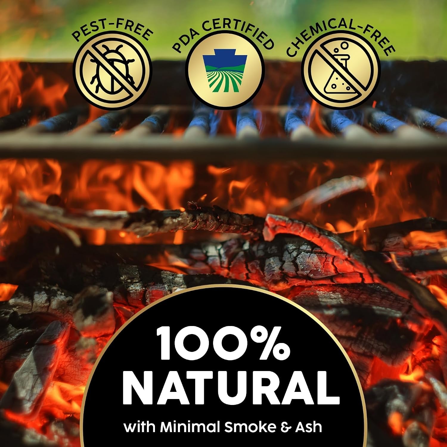 Kiln-Dried PA Hickory – 8” Splits (Approx 39.5 Lb) – Bold Smoking Wood for Pizza Ovens, BBQ & Fire Pits – Easy Light, Low Smoke, USA Sourced
